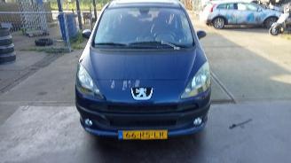 uszkodzony samochody osobowe Peugeot 1007  2005/8