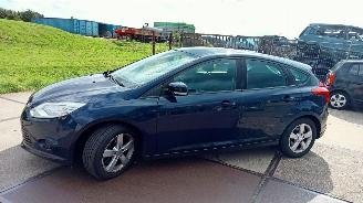 Ford Focus  picture 2