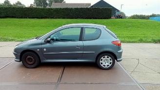 Peugeot 206 206 (2A/C/H/J/S), Hatchback, 1998 / 2012 1.4 XR,XS,XT,Gentry picture 4