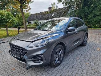 Ford Kuga 2.5i Hybrid ST-LINE Stoelverw. picture 6
