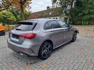Mercedes A-klasse 250e AMG Line Stoelverw Led Navi picture 5