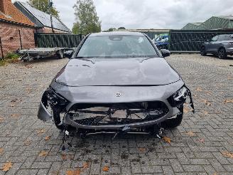 Mercedes A-klasse 250e AMG Line Stoelverw Led Navi picture 8