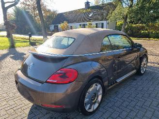 Volkswagen Beetle Cabrio 2.0 TDI 103 KW Stoelver Navi Xenon picture 17