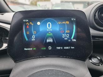 BYD Dolphin 60.4 kWh Pano Led Navi Camera picture 21