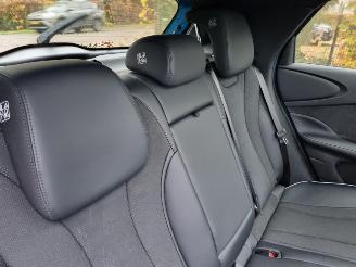 BYD Dolphin 60.4 kWh Pano Led Navi Camera picture 12