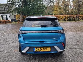 BYD Dolphin 60.4 kWh Pano Led Navi Camera picture 5