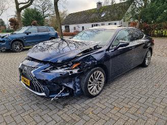Lexus ES 300h President Line Aut. Schuifdak VOLL picture 7