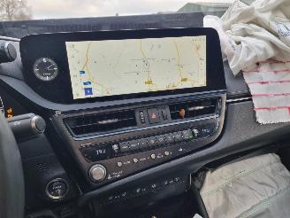 Lexus ES 300h President Line Aut. Schuifdak VOLL picture 18