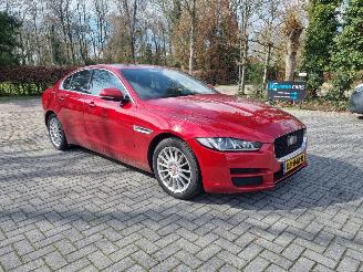 Schadeauto Jaguar XE 20d E-Performance Portfolio Pano Navi 2016/4