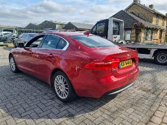 Jaguar XE 20d E-Performance Portfolio Pano Navi picture 5