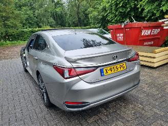 Schadeauto Lexus ES 300H Business Line Schuifdak Led Stoelverw 2024/1