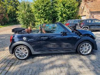 Mini Cooper S Cabrio Aut Navi Led Stoelverw picture 2