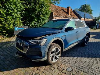 Voiture accidenté Audi E-tron 50 Quattro 71Kwh Stoelverw. 2020/4