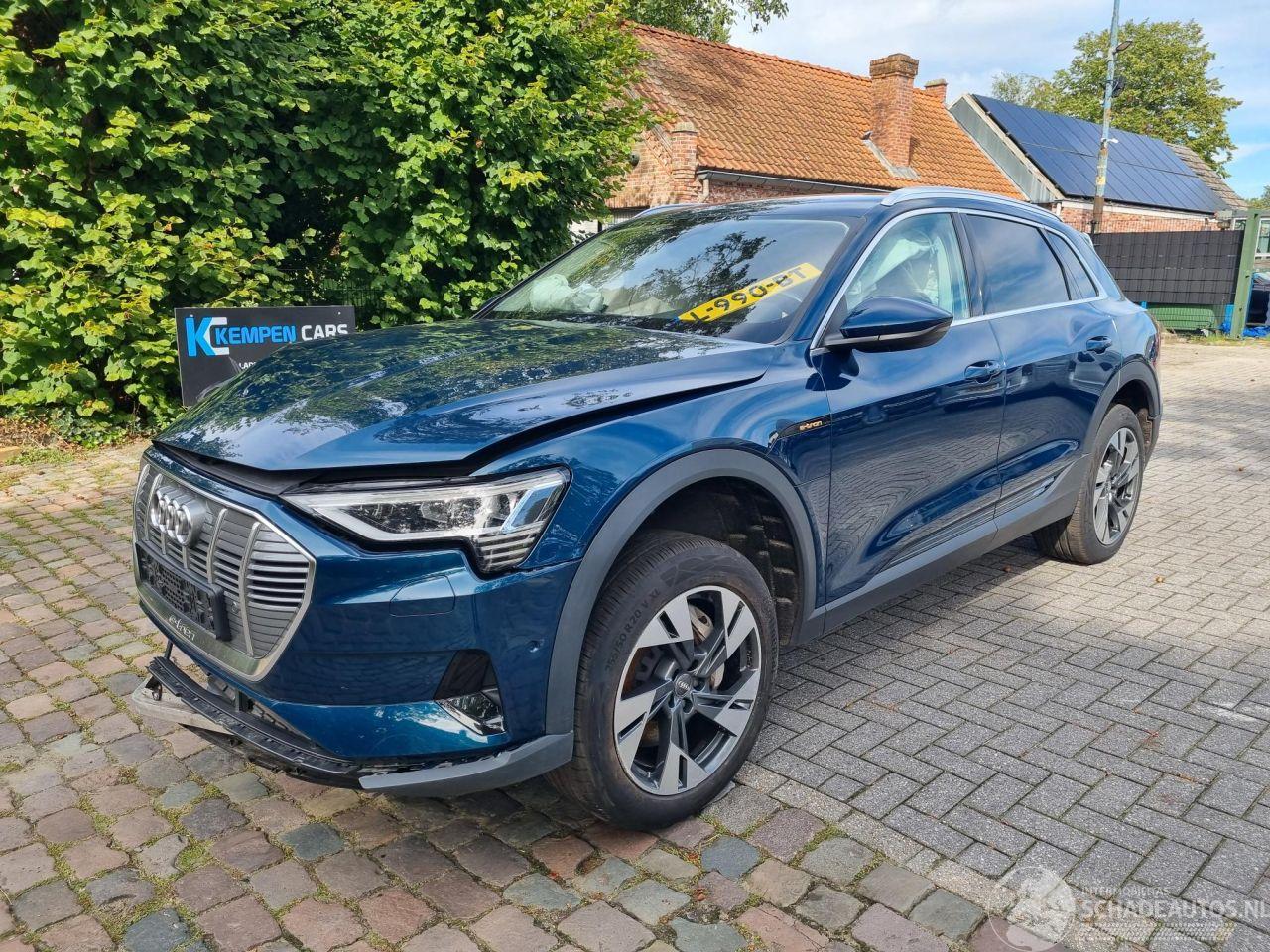 Audi E-tron 50 Quattro 71Kwh Stoelverw.