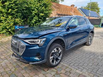 Avarii autoturisme Audi E-tron 50 Quattro 71Kwh Stoelverw. 2020/4
