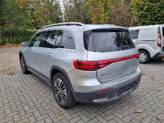 Mercedes EQB 250+ Pano Led Stoelverw. picture 3