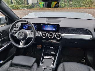 Mercedes EQB 250+ Pano Led Stoelverw. picture 11