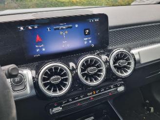 Mercedes EQB 250+ Pano Led Stoelverw. picture 17