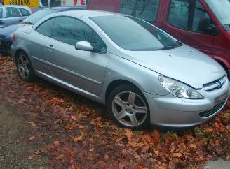 Sloopauto Peugeot 307 cc 2005/1