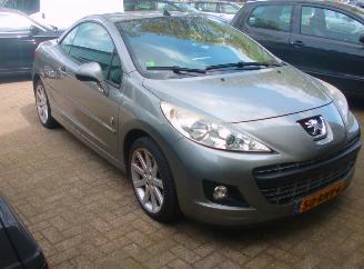 Peugeot 207 cc roland garros picture 4