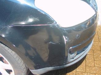 Ford Focus C-Max flexifuel picture 8