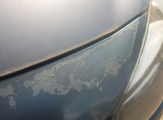 Renault Clio  picture 9