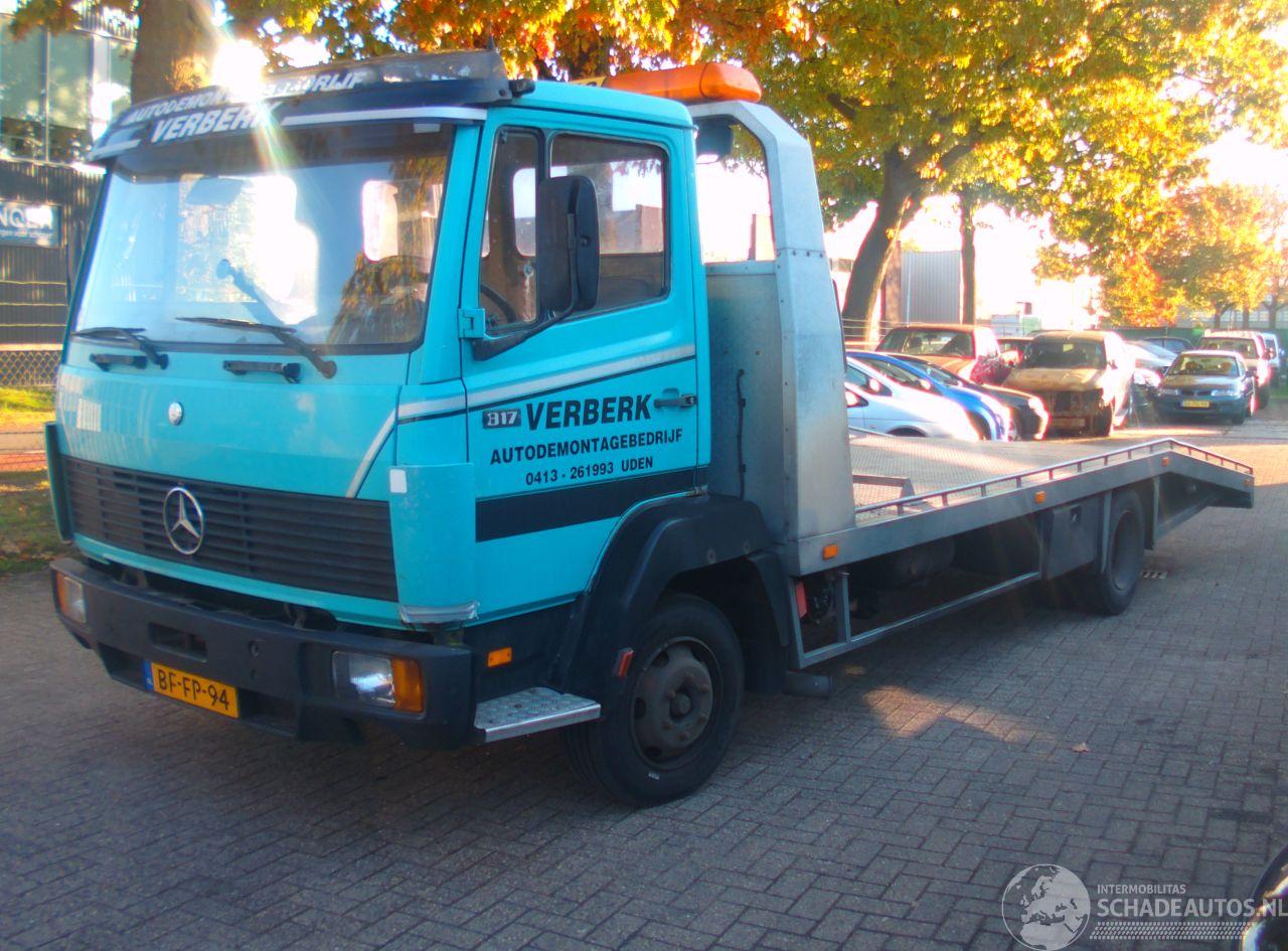 Mercedes Ecoliner 817