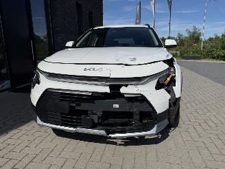 Kia Niro 1.6 GDI PHEV 142PK DCT Aut. DynamicLine picture 16