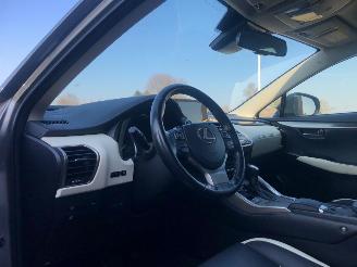 Lexus NX NX300 AWD picture 8