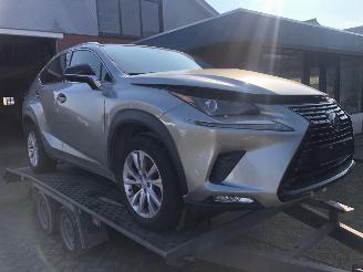 Voiture accidenté Lexus NX NX300 AWD 2020/6