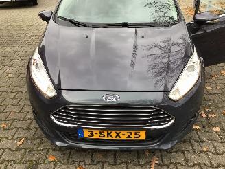 Ford Fiesta FIESTA 1.6 TDCI LEASE TITANIUM ZEER LICHTE SCHADE picture 20