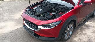 Mazda CX-30 1.8-skyactiv Executive Navi Head-up Keyless entry Leder Zwart/Bruin Climatecontrol Stoelverwarming Regensensor Drivelane assistent Dimmende binnenspiegel Achteruitrijcamera Elektrische achterklep picture 17