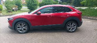 Mazda CX-30 1.8-skyactiv Executive Navi Head-up Keyless entry Leder Zwart/Bruin Climatecontrol Stoelverwarming Regensensor Drivelane assistent Dimmende binnenspiegel Achteruitrijcamera Elektrische achterklep picture 2