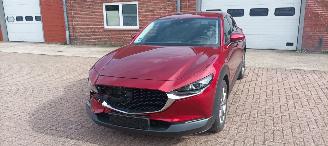 Mazda CX-30 Bj:08-2019 1.8-Skyactive Diesel Navigatie Climatecontrol Leder Memory Sportstoelen Blindspot Drivelane Headup Display Full-Led koplampen Led achterlichten Elektrische achterklep picture 13