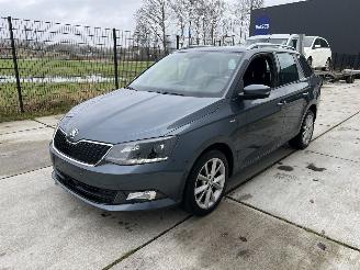Voiture accidenté Skoda Fabia 1.0 95 PK  NAVI-PDC 2018/1