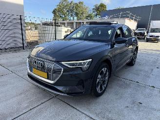 Damaged car Audi E-tron 50 QUATTRO Launch edition plus 71 kWh PANO - NAVI - LEDER 2019/12