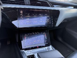 Audi E-tron 50 Quatro Launch Edition Plus 71 kWh PANO-LEDER-NAVI-PDC picture 18