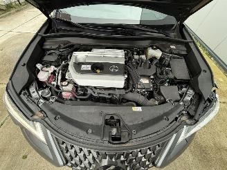 Lexus UX 250h HYBRID CAMERA - KEYLESS - ACC picture 14