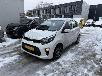 Coche accidentado Kia Picanto 1.0 DPI Comfortline 2024/1