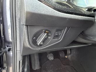 Volkswagen Polo 1.0 TSI Edition -95 PK CAMERA-PDC picture 16