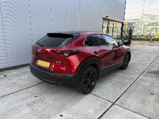 Mazda CX-30 2.5 e -SkyActive-G M Hybrid Nagisa-LEDER-CAMERA-HUD-NAVI-PDC picture 5