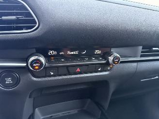 Mazda CX-30 2.5 e -SkyActive-G M Hybrid Nagisa-LEDER-CAMERA-HUD-NAVI-PDC picture 22