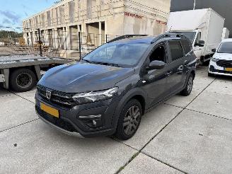 Coche accidentado Dacia Jogger 1.0 TCE 7PERSOONS 81 KW-NAVI-PDC-CLIMA 2022/6