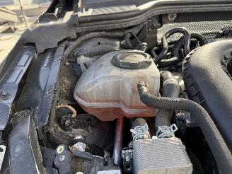 Volkswagen Golf 1.5 eHYBRID 50 EDITION -HUD-CAMERA-NAVI picture 23