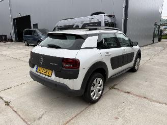 Citroën C4 cactus 1.2 e-VTi Business AUTOMAAT picture 5