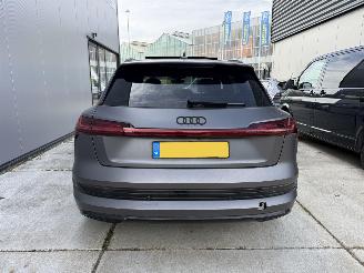 Audi E-tron 55 QUATRO Advanced 95 kWh -LEDER-NAVI-360 CAMERA-PANO picture 7