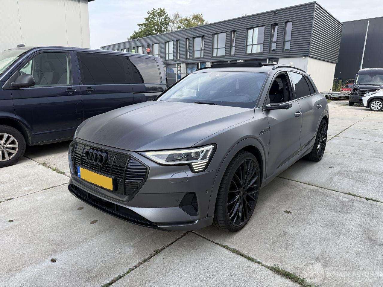 Audi E-tron 55 QUATRO 95 kWh  408 PK PANO-NAVI-LEDER-CAMERA