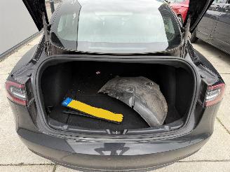 Tesla Model 3 LONG RANGE RWD 75 kWh -CAMERA-NAVI-PANO-LEDER picture 10