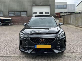 Cupra Formentor 2.0 TSI 310Pk 4Drive Pano Beats 360Camera picture 2