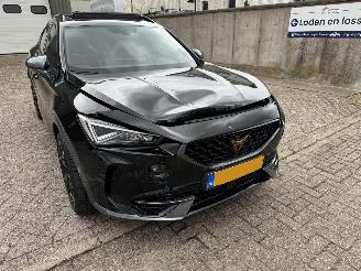 Cupra Formentor 2.0 TSI 310Pk 4Drive Pano Beats 360Camera picture 18